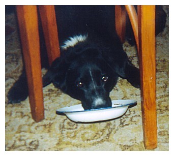 'Possum' at BLUESVILLE, 2002 - �Rod Jeffery